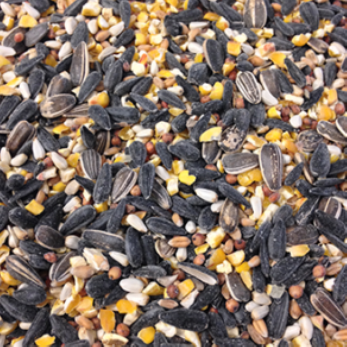 ☆millet☆ Millet Rice Flakes Cereal – Nature's Path