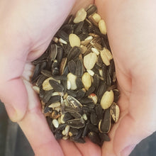 Load image into Gallery viewer, Chagrin Songbird